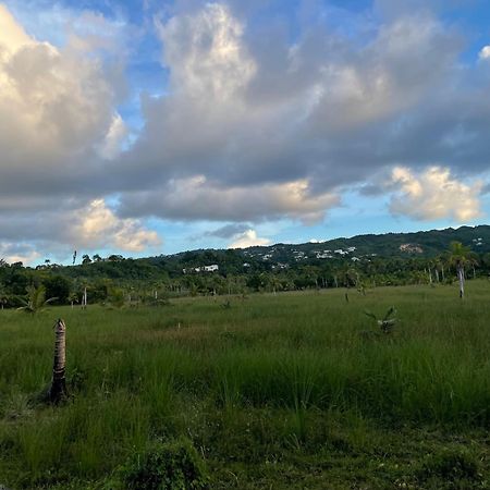 Caribbean Domicile Διαμέρισμα Las Terrenas Εξωτερικό φωτογραφία