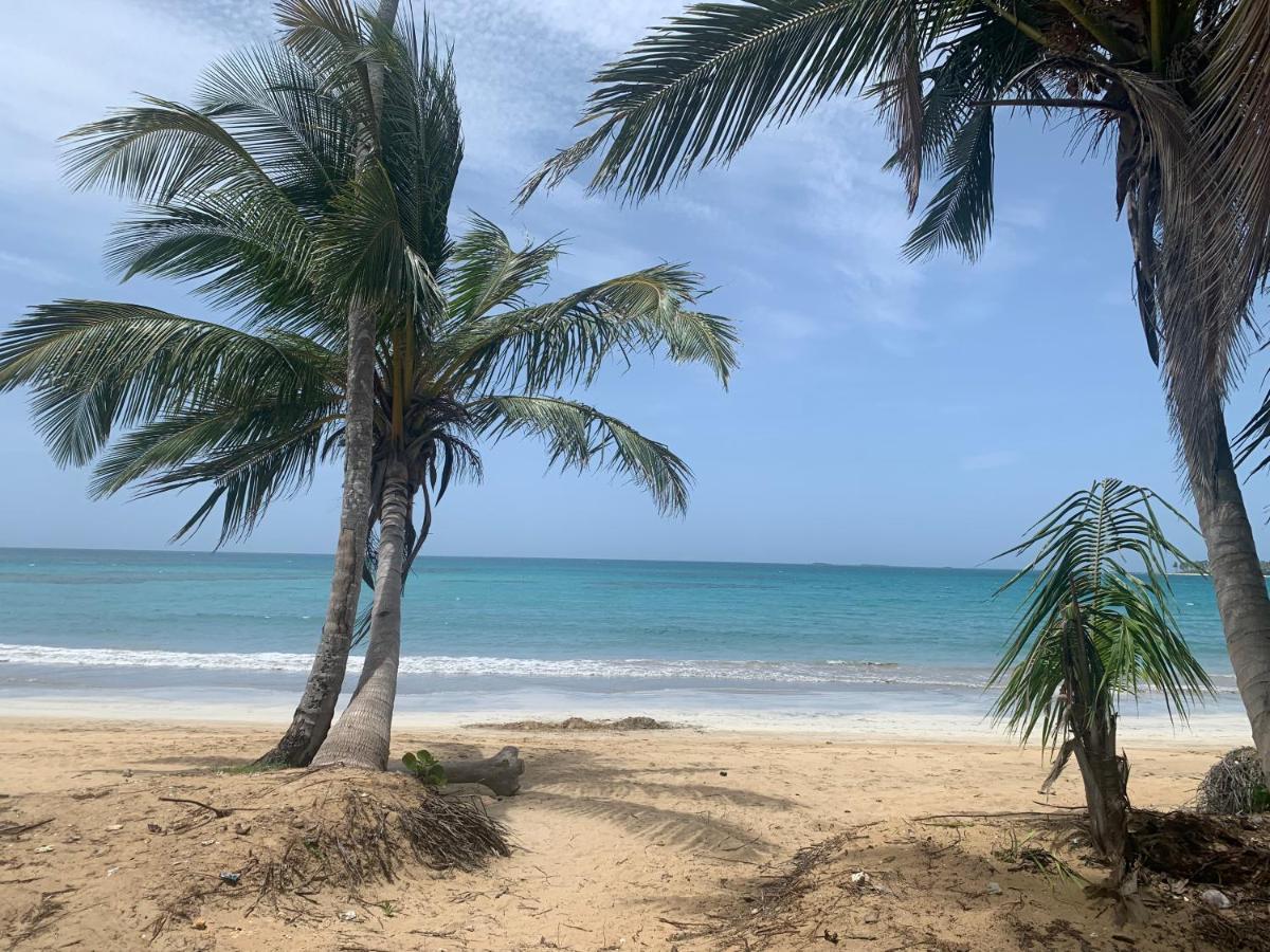Caribbean Domicile Διαμέρισμα Las Terrenas Εξωτερικό φωτογραφία