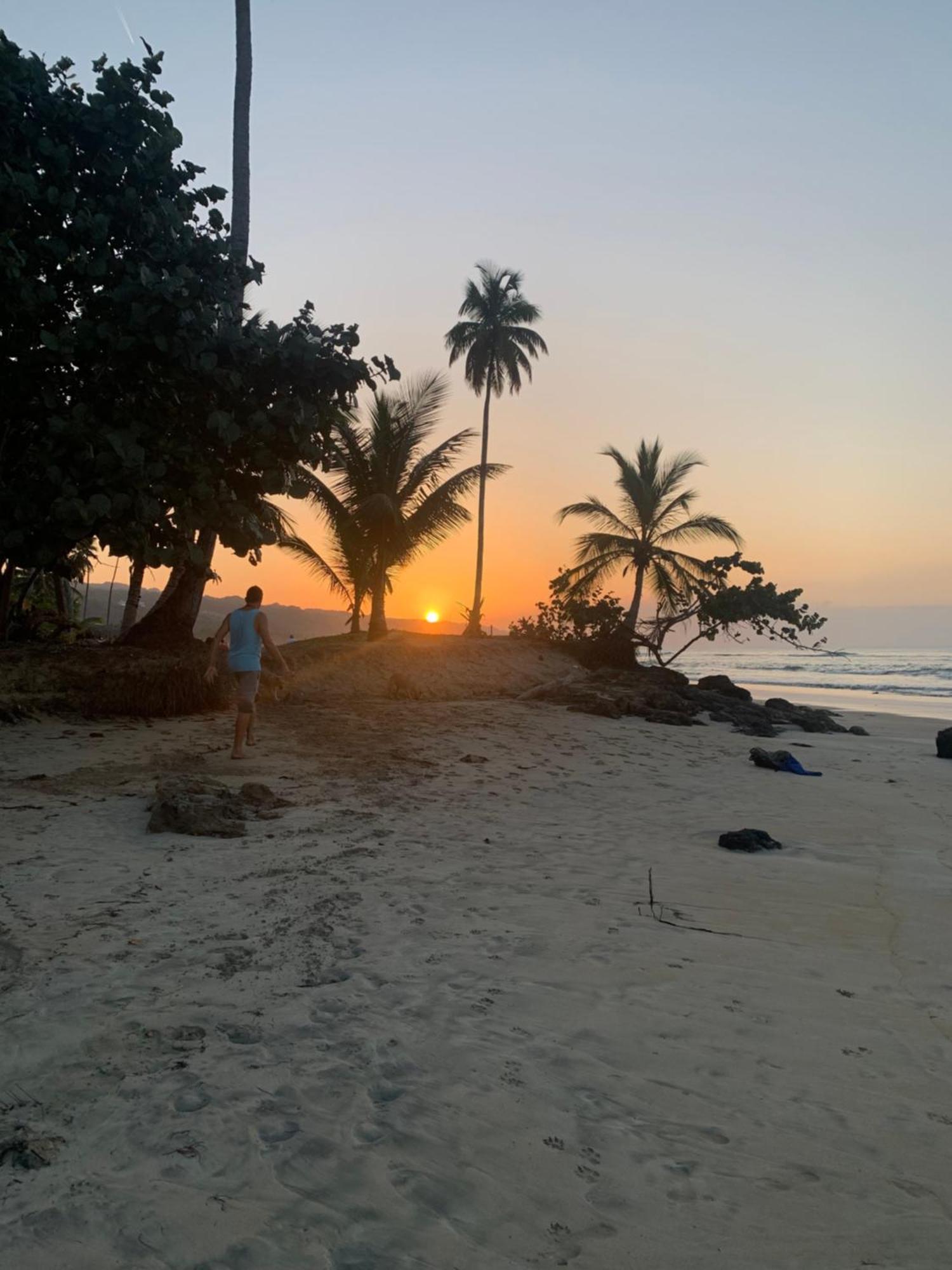 Caribbean Domicile Διαμέρισμα Las Terrenas Εξωτερικό φωτογραφία
